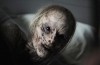 haunt 2.jpg